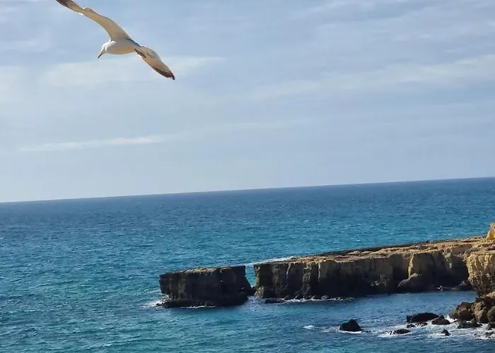 Lidia Oura With Private Swimmingpool Villa *